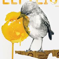 LeftLion logo
