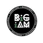 BiGiAM logo