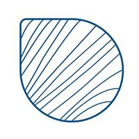 Lime Tree Music logo