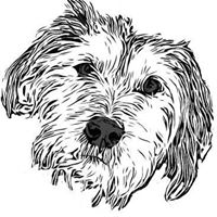 Misfit Publicity logo