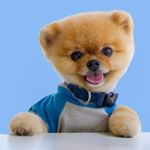 jiffpom logo