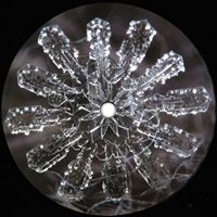 Frost Plates logo