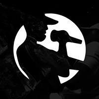 Flow logo