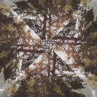 Delta Swamp Music logo