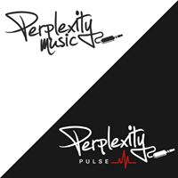 Perplexity Music logo