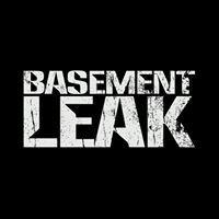 Basement Leak logo