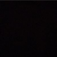 Exploited logo