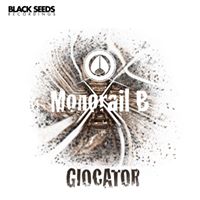 Black Seeds Recordings logo