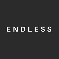 Endless logo