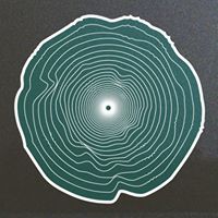 Wood logo