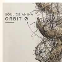 Soul De Anima logo