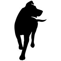 Kanine Records logo