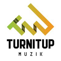 TurnItUp Muzik logo