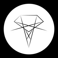 Skink logo