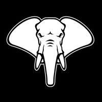 Young Elephants logo