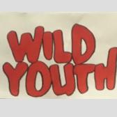 Wild Records logo