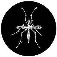 Daddy Longlegs Records logo