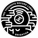 Zebra Traffic logo