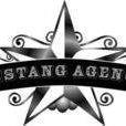 Mustang Agency logo