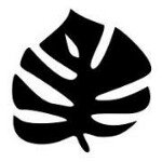 Monstera logo