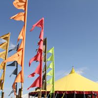 Towersey Village Festival logo