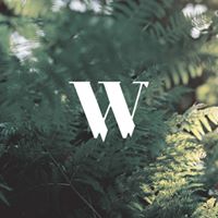 Wilderness logo